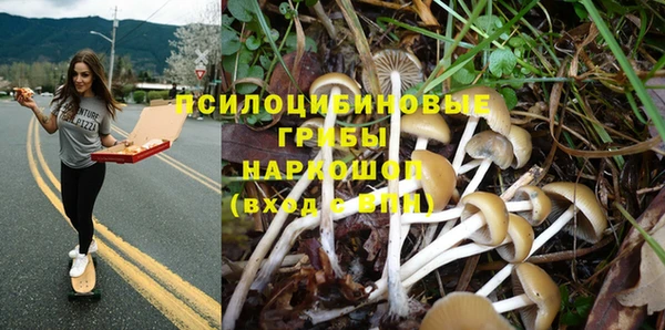 гидра Абинск